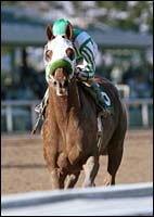 Point Given Completes Preparations for 2001 Debut Point Given Completes Preparations for 2001 Debut