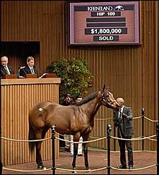 Point Ashley Tops Opening Session of Keeneland January Sale Point Ashley Tops Opening Session of Keeneland January Sale