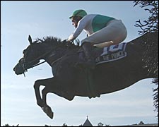 Praise the Prince Back to Defend Title in Turf Writers Cup Praise the Prince Back to Defend Title in Turf Writers Cup