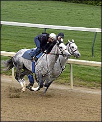 Baffert Pleased With Workouts by Derby Contenders Baffert Pleased With Workouts by Derby Contenders