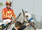 Preachinatthebar Sires First Winner Preachinatthebar Sires First Winner