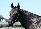 Private Lap to Atalanta Acres 