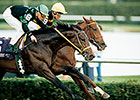 BC Turf Winner Prized Euthanized at Age 28 BC Turf Winner Prized Euthanized at Age 28