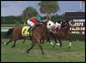 Calder Race Report: Grand Finale Calder Race Report: Grand Finale