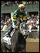 Proper Gamble Takes Beaumont Stakes By Slim Nose Proper Gamble Takes Beaumont Stakes By Slim Nose