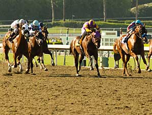 SoCal Trainers Knock Pro-Ride Surface SoCal Trainers Knock Pro-Ride Surface