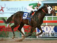 Hollywood Park Racing: Cal-Bred Proud Tower Impresses Hollywood Park Racing: Cal-Bred Proud Tower Impresses