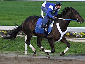 Pyro Works; Avoids Loose Horse Pyro Works; Avoids Loose Horse