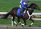 War Pass Tops Haskin's Derby Dozen War Pass Tops Haskin's Derby Dozen