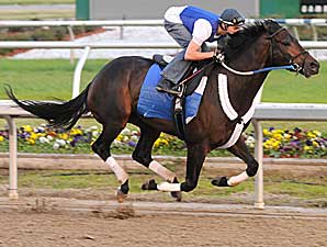 Pyro Early Favorite in Louisiana Derby Pyro Early Favorite in Louisiana Derby