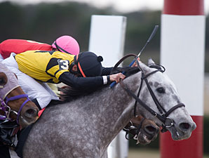 Quiet All American Among OBS Race Winners Quiet All American Among OBS Race Winners