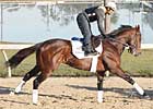 Preakness Profile: Racecar Rhapsody Preakness Profile: Racecar Rhapsody