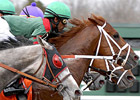 Wagering on U.S. Racing Continues to Plummet Wagering on U.S. Racing Continues to Plummet