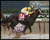 Aqueduct Race Report: All the Rage Aqueduct Race Report: All the Rage
