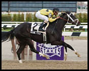 Raging Fever Invades for Chicago Handicap Raging Fever Invades for Chicago Handicap