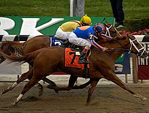 Belmont Park Set for 59-Day Meet Belmont Park Set for 59-Day Meet