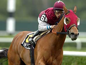 Raw Silk Smooth Winner of Sands Point 
