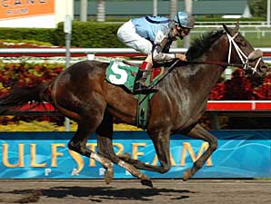 Ready's Echo to Start in Belmont Ready's Echo to Start in Belmont
