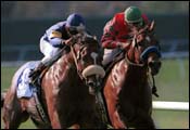 Redattore Rallies to Win Eddie Read by Two Lengths Redattore Rallies to Win Eddie Read by Two Lengths