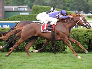 Grade II Winners Clash in Clement Hirsch Grade II Winners Clash in Clement Hirsch