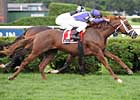Grade II Winners Clash in Clement Hirsch