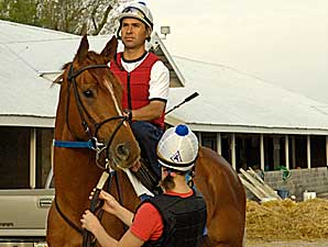 Old, Young to Run in Gold Cup 'Cap Old, Young to Run in Gold Cup 'Cap