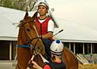 Old, Young to Run in Gold Cup 'Cap Old, Young to Run in Gold Cup 'Cap