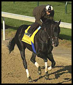 A Cool Day at Churchill; Two Derby Contenders Work A Cool Day at Churchill; Two Derby Contenders Work