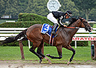 R Free Roll Leads the Way in Honorable Miss R Free Roll Leads the Way in Honorable Miss