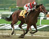 Breeders' Cup 2000 Preview: Play Ball! Breeders' Cup 2000 Preview: Play Ball!