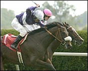Riskaverse Looks Royal in Queen Elizabeth II Cup Riskaverse Looks Royal in Queen Elizabeth II Cup