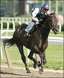 Rock Hard Ten, Purge, Royal Assault Work Toward Saturday's Belmont Rock Hard Ten, Purge, Royal Assault Work Toward Saturday's Belmont