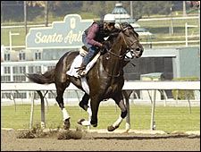 Rock Hard Ten Preps for Classic With Workout at Santa Anita Rock Hard Ten Preps for Classic With Workout at Santa Anita