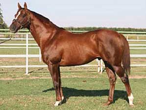 Roll Hennessy Roll's First Winner Roll Hennessy Roll's First Winner