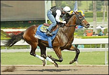 Roman Ruler's Breeze Highlights Busy West Coast Work Tab Roman Ruler's Breeze Highlights Busy West Coast Work Tab
