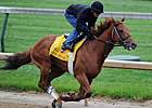 Rousing Sermon Works, Hollendorfer Pleased Rousing Sermon Works, Hollendorfer Pleased