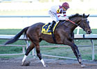 Champ Royal Delta Cruises in Sabin Comeback