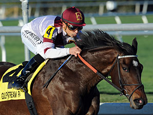 Champ Royal Delta Headed for Fleur de Lis Champ Royal Delta Headed for Fleur de Lis