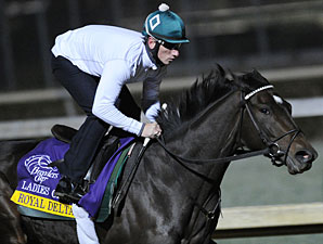 Royal Delta Set for Ladies' Classic Royal Delta Set for Ladies' Classic