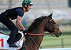 U.S. Ready to End Dubai World Cup Drought U.S. Ready to End Dubai World Cup Drought