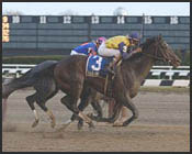Competitive Field Taking Shape For March 17 Gotham Competitive Field Taking Shape For March 17 Gotham