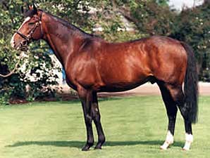 Pedigree Analysis - Worldwide Wells Pedigree Analysis - Worldwide Wells