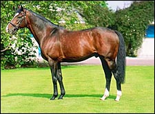 Sadler's Wells Captures Record 13th Consecutive Sire Title Sadler's Wells Captures Record 13th Consecutive Sire Title
