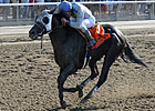 Met Mile Set for Belmont Stakes Day in 2014 Met Mile Set for Belmont Stakes Day in 2014