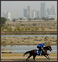 Favored Sakhee Draws Post 7 for World Cup Favored Sakhee Draws Post 7 for World Cup