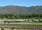 Santa Anita's Main Track Opened Santa Anita's Main Track Opened