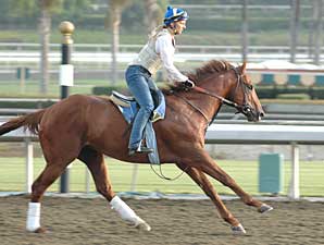 Santa Anita Track Reopened Santa Anita Track Reopened