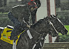 Santiva on Track Early for Final Derby Work