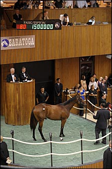 Average, Median Rise at Saratoga Sale Average, Median Rise at Saratoga Sale