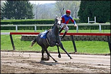 Jockey Sarvis Off Mounts 6-8 Weeks; Shoulder, Collarbone Injuries Jockey Sarvis Off Mounts 6-8 Weeks; Shoulder, Collarbone Injuries